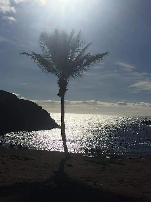 Luxury Apartment With Stunning Terrace And With Heated Pool Costa Adeje  Spain